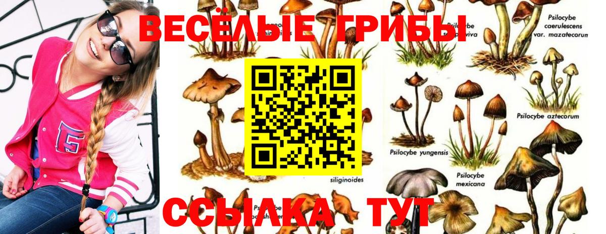 Псилоцибиновые грибы Magic Shrooms Благодарный