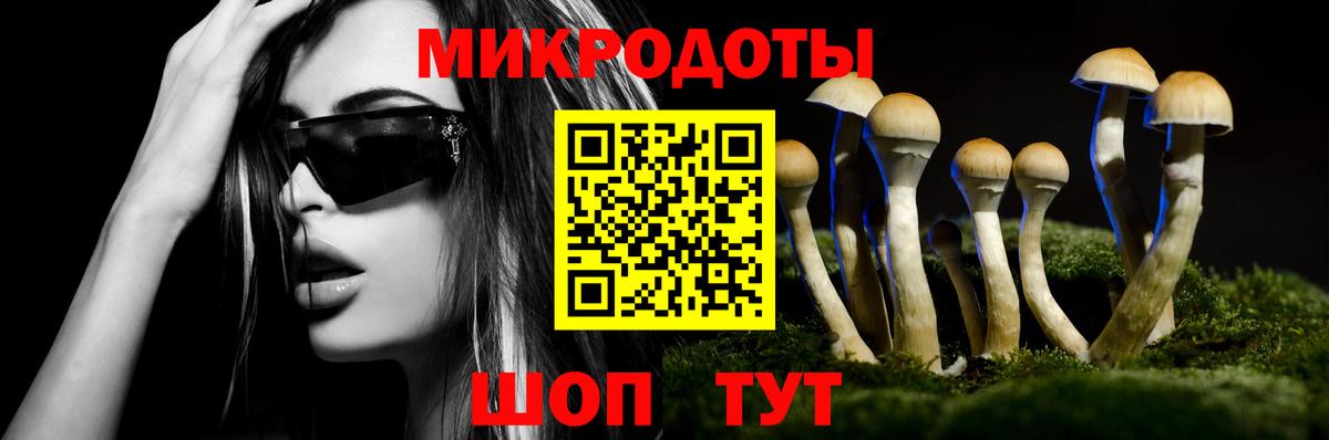 Галлюциногенные грибы GOLDEN TEACHER  Вход с VPN  Галлюциногенные грибы Cubensis  Благодарный 